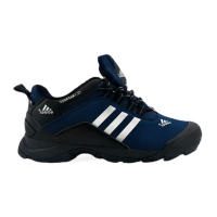 Кроссовки Adidas Terrex Climaproof Winter синие